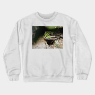 " Ciboulette " par le panasonic FZ 1000 par Olavia Olao  et okaio Créations Crewneck Sweatshirt